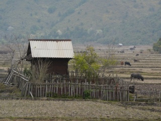 P1250460