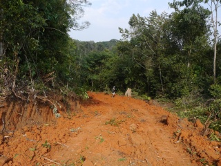 P1250495