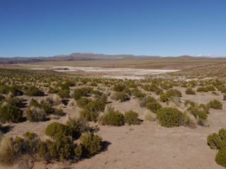 P1330449