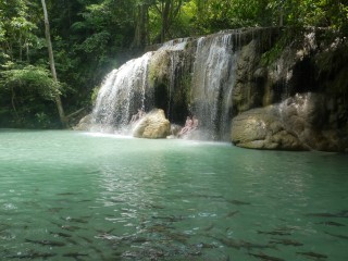 image00073