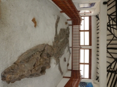 P1460056