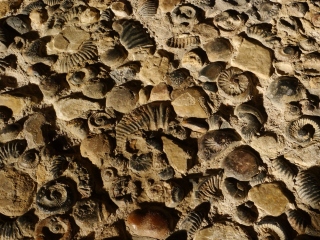 P1460109