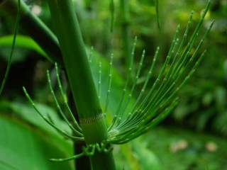 P1460243
