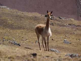 P1360465