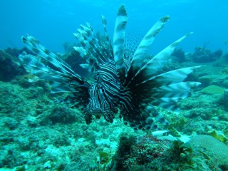 DSC00630