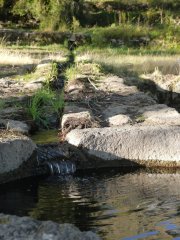 P1350690