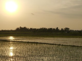 P1410303