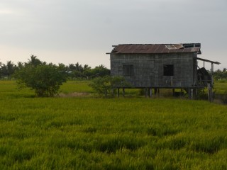 P1410308