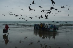 Crucita et alentours