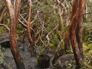 P1390217