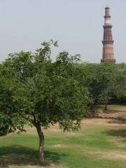P1320668