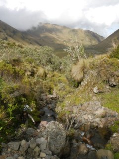 P1400321