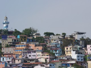 P1420351