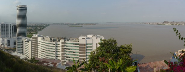 P1420363 - P1420365