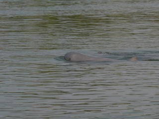P1260439