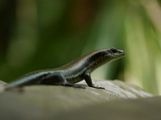 P1380589