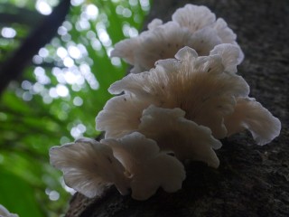 P1380701