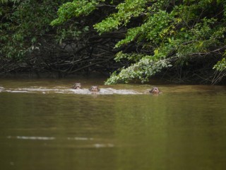 P1380782