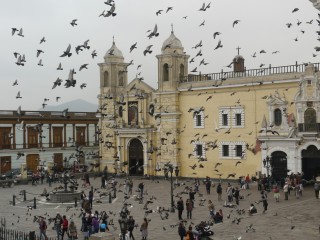 P1370483