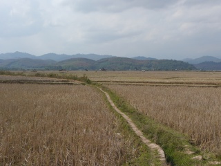 P1240899