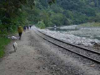 P1360646