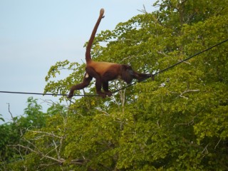 P1450520