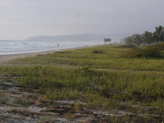 P1420102