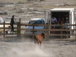 P1400547
