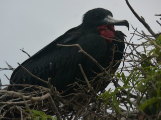 P1410814