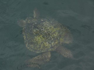 P1410871