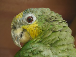 P1440321
