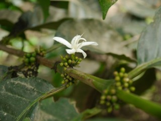 P1440392