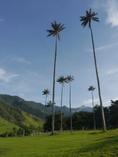 P1440483