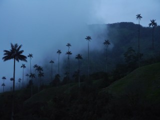 P1440727