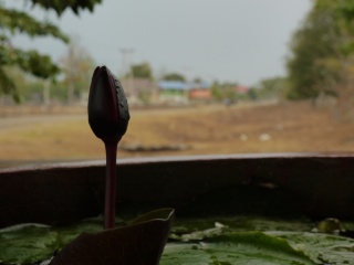 P1250824