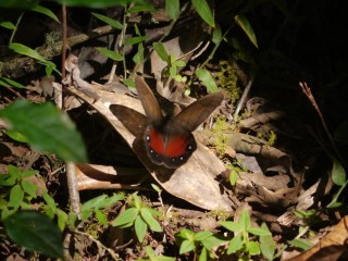 P1350383