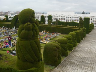 P1430534