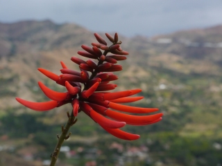 P1390125